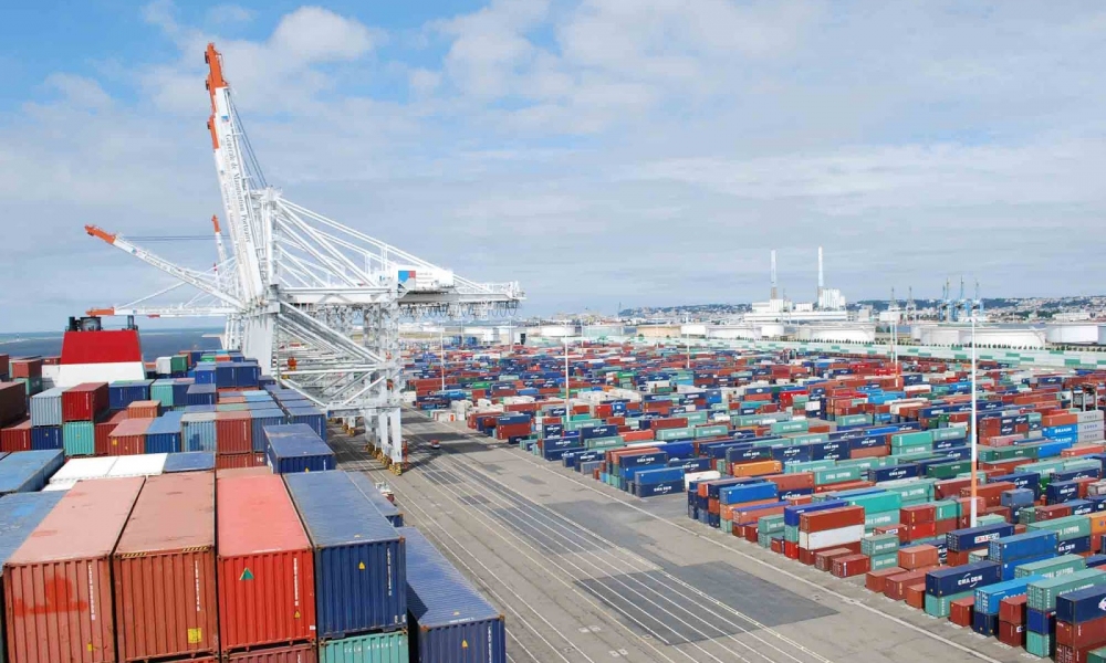 Gümrük Hat Renkleri